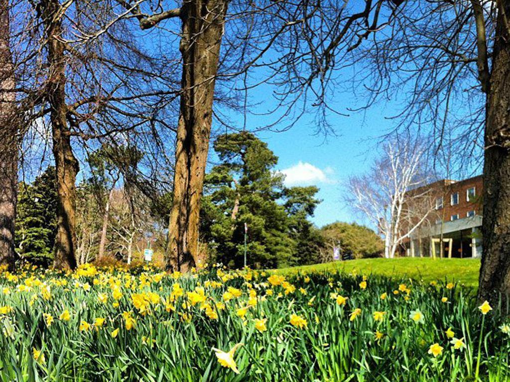 University Of Exeter - Holland Hall Exterior foto
